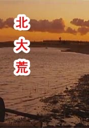 1080P高清完整版播放